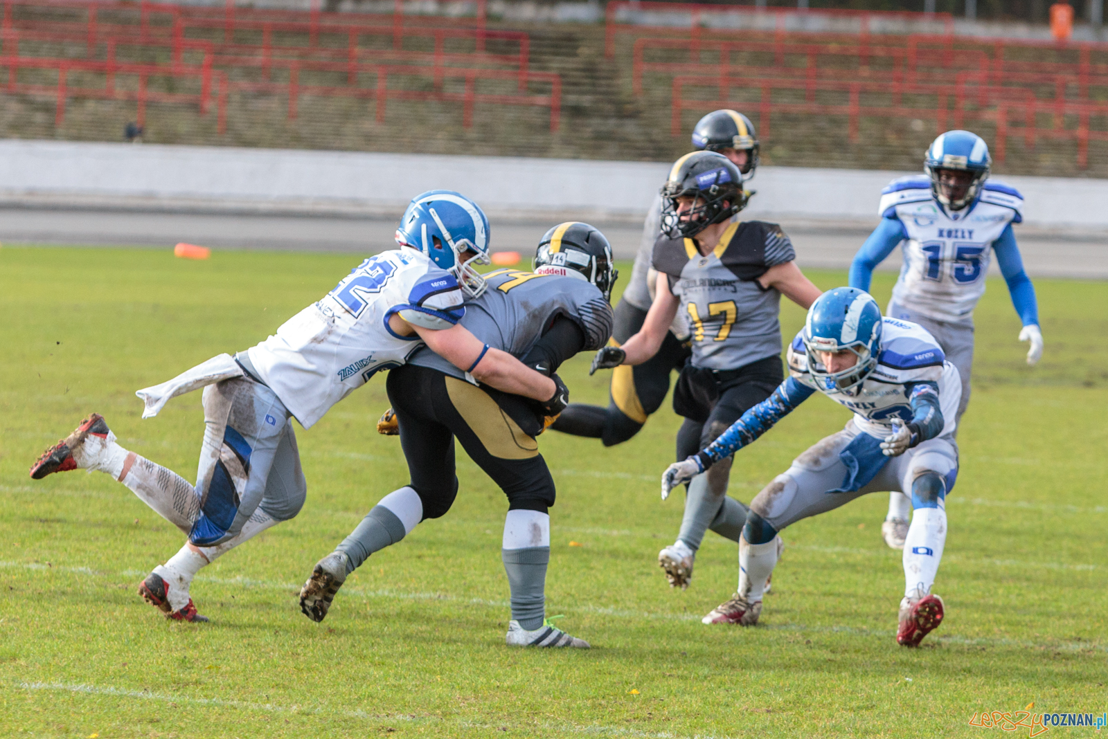 Półfinał MP U19: Kozły Poznań - Lowlanders Bialystok 22:0 - Foto: LepszyPOZNAN.pl / Paweł Rychter Półfinał MP U19: Kozły Poznań - Lowlanders Bialystok 22:0 - Foto: LepszyPOZNAN.pl / Paweł Rychter