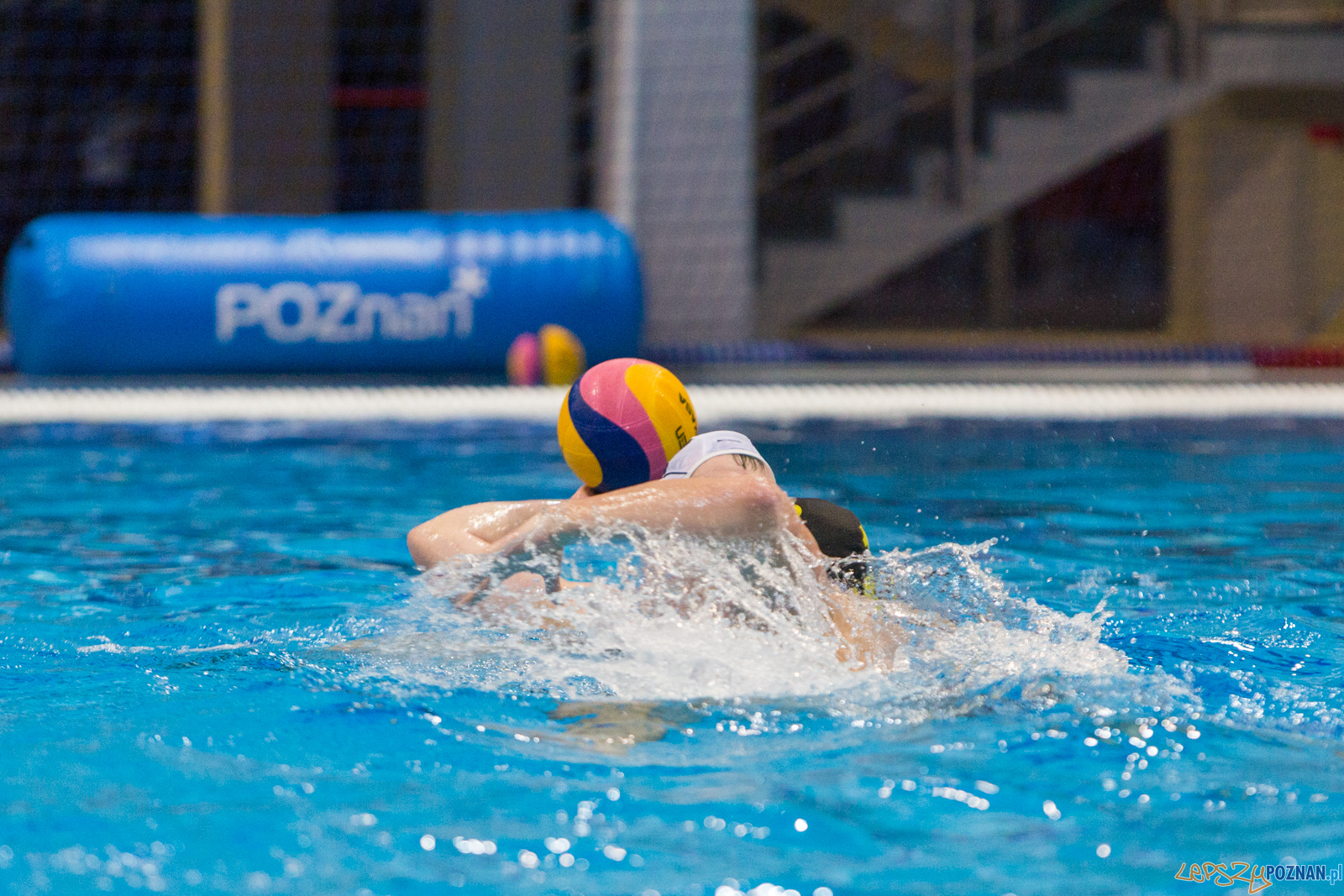 Waterpolo Poznań - Polonia Bytom Foto: lepszyPOZNAN.pl/Piotr Rychter Waterpolo Poznań - Polonia Bytom Foto: lepszyPOZNAN.pl/Piotr Rychter