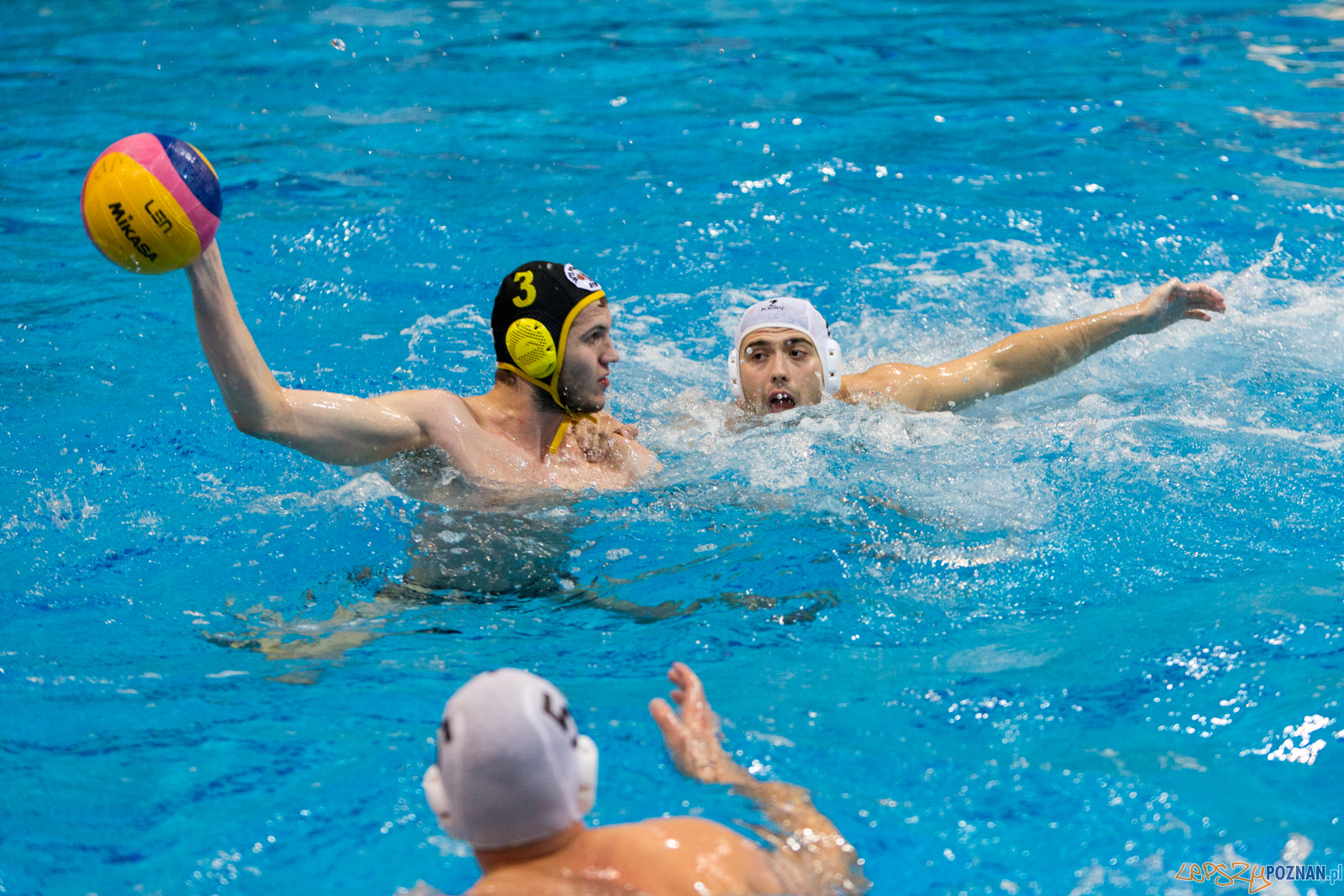 Waterpolo Poznań - Polonia Bytom Foto: lepszyPOZNAN.pl/Piotr Rychter Waterpolo Poznań - Polonia Bytom Foto: lepszyPOZNAN.pl/Piotr Rychter
