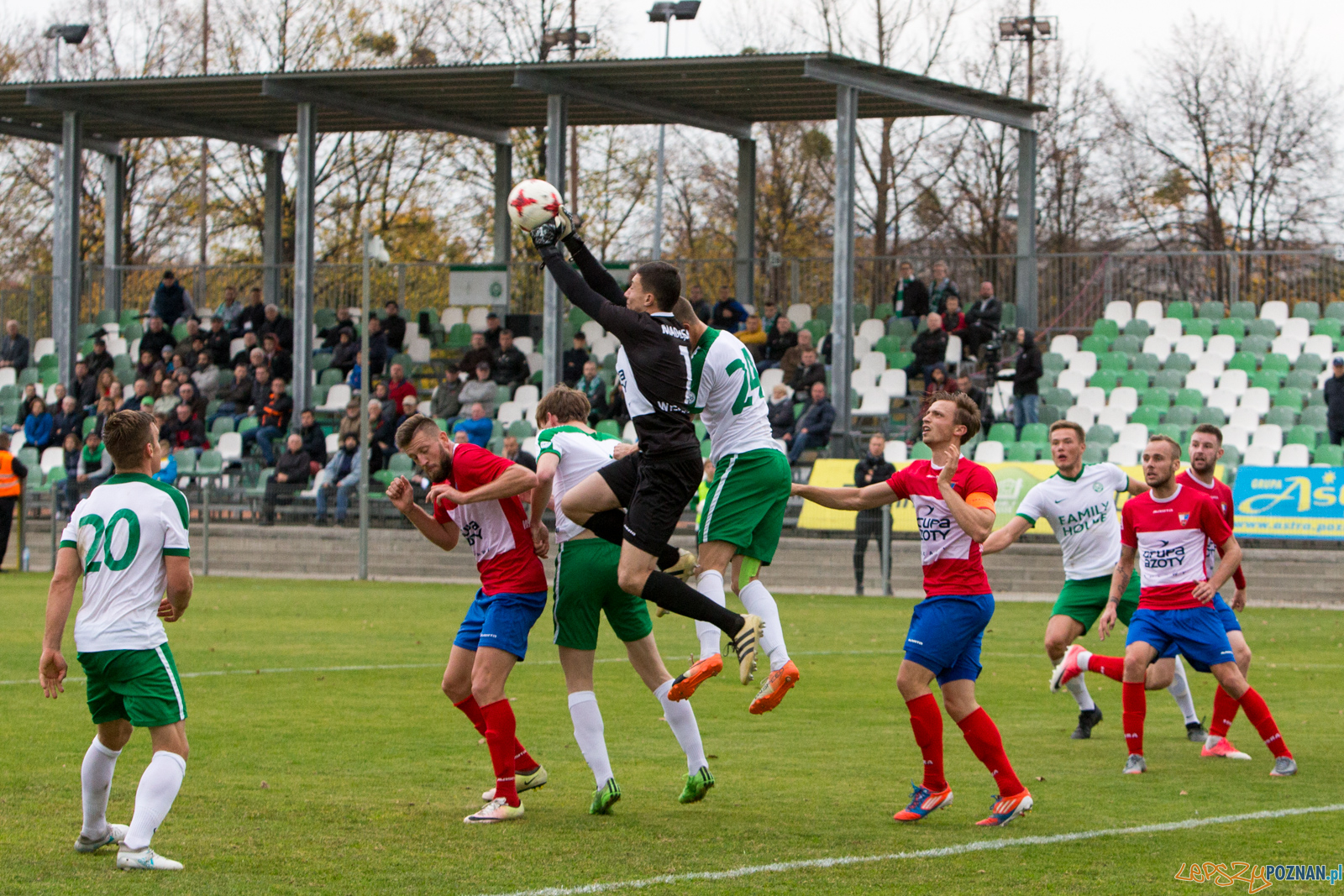 Warta Poznań - Wisła Puławy Foto: lepszyPOZNAN.pl/Piotr Rychter Warta Poznań - Wisła Puławy Foto: lepszyPOZNAN.pl/Piotr Rychter