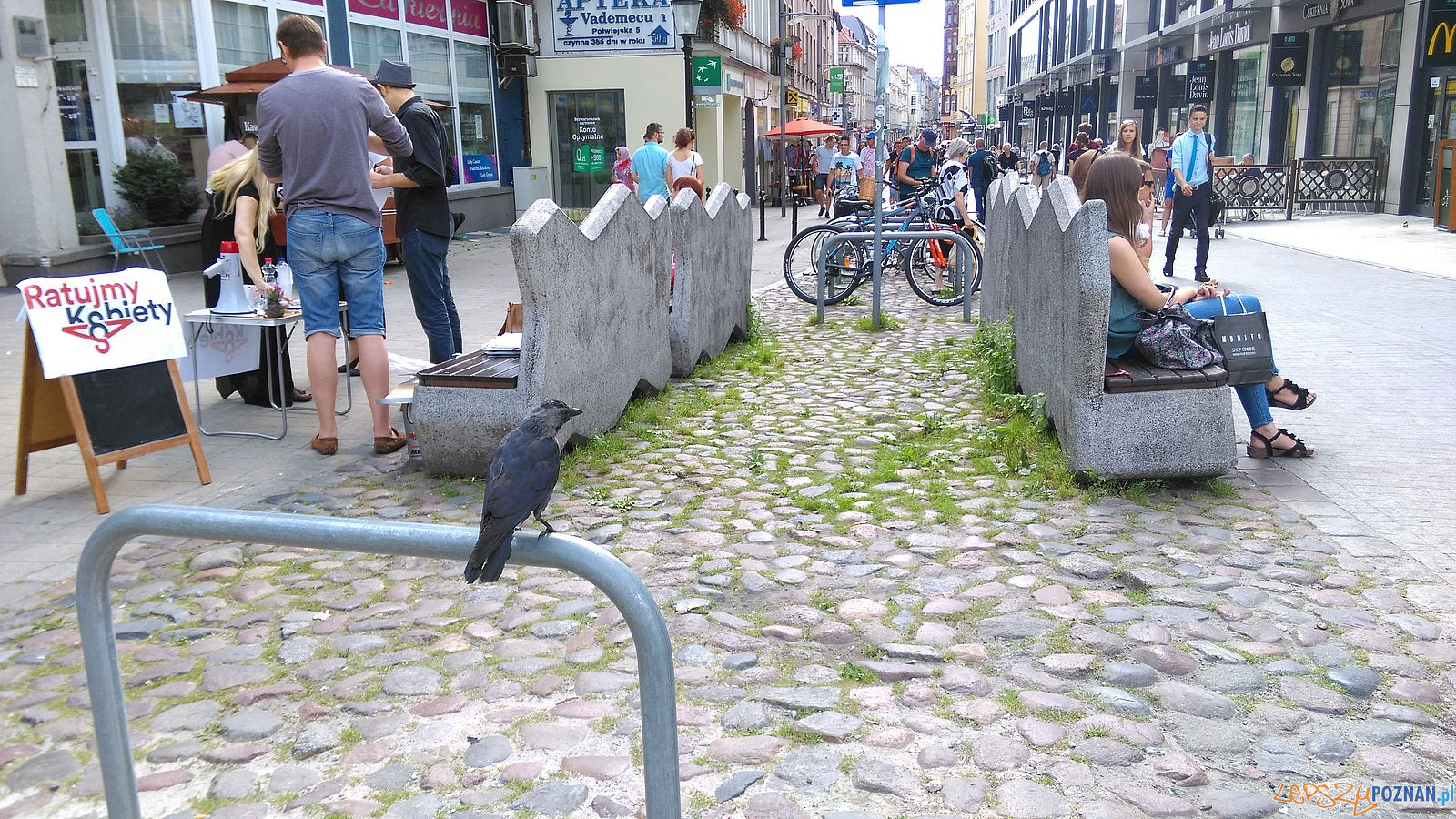 Stary Marych nieporządek wokól pomnika (7) Foto: T. Dworek / ROSM Stary Marych nieporządek wokól pomnika (7) Foto: T. Dworek / ROSM