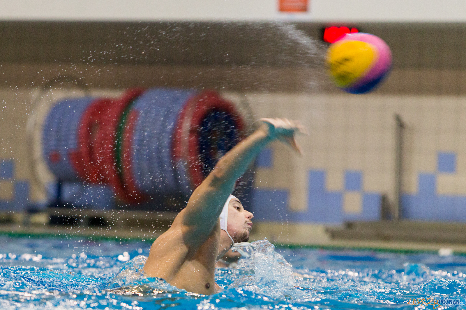 Waterpolo Poznań - Polonia Bytom Foto: lepszyPOZNAN.pl/Piotr Rychter Waterpolo Poznań - Polonia Bytom Foto: lepszyPOZNAN.pl/Piotr Rychter