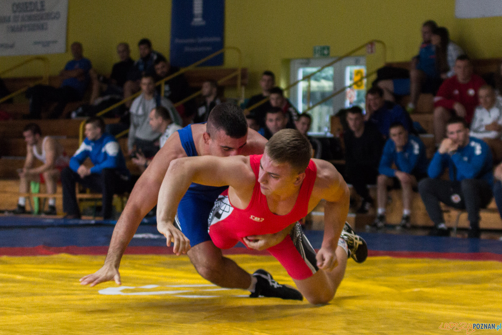 Młodzieżowe Mistrzostwa Polski w Zapasach Foto: lepszyPOZNAN.pl / Ewelina Jaskowiak Młodzieżowe Mistrzostwa Polski w Zapasach Foto: lepszyPOZNAN.pl / Ewelina Jaskowiak