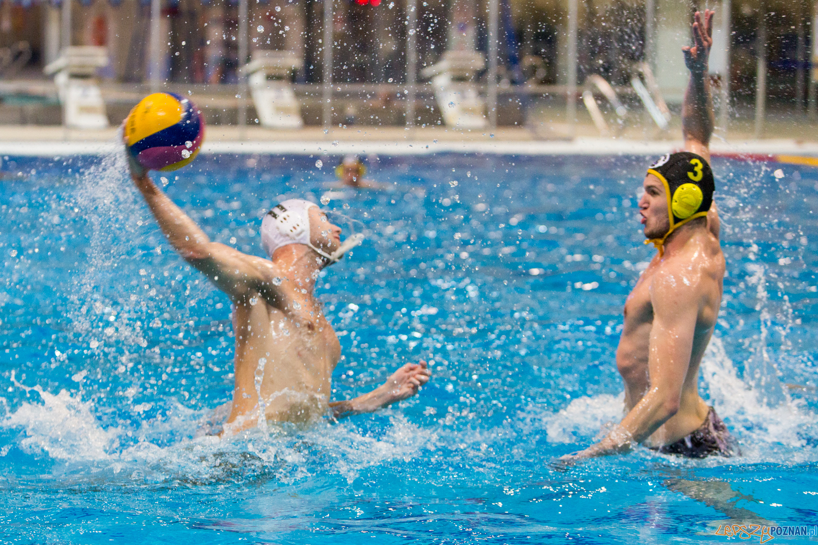 Waterpolo Poznań - Polonia Bytom Foto: lepszyPOZNAN.pl/Piotr Rychter Waterpolo Poznań - Polonia Bytom Foto: lepszyPOZNAN.pl/Piotr Rychter