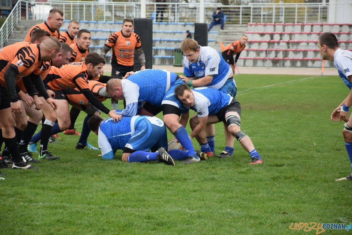 Miedziowi Lubin vs Chaos Poznań Foto: Weronika Biskupska Miedziowi Lubin vs Chaos Poznań Foto: Weronika Biskupska