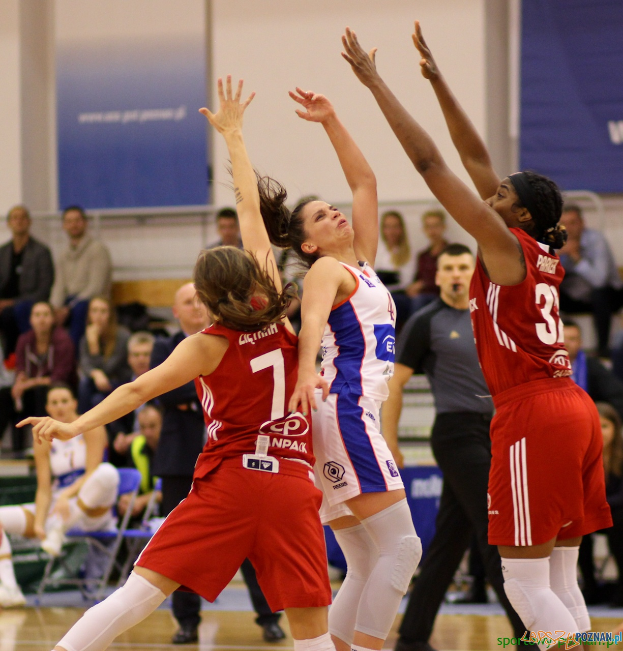 Enea AZS Poznań-Wisła Can-Pack Kraków Foto: sportowy-poznan.pl / Elżbieta Skowron Enea AZS Poznań-Wisła Can-Pack Kraków Foto: sportowy-poznan.pl / Elżbieta Skowron