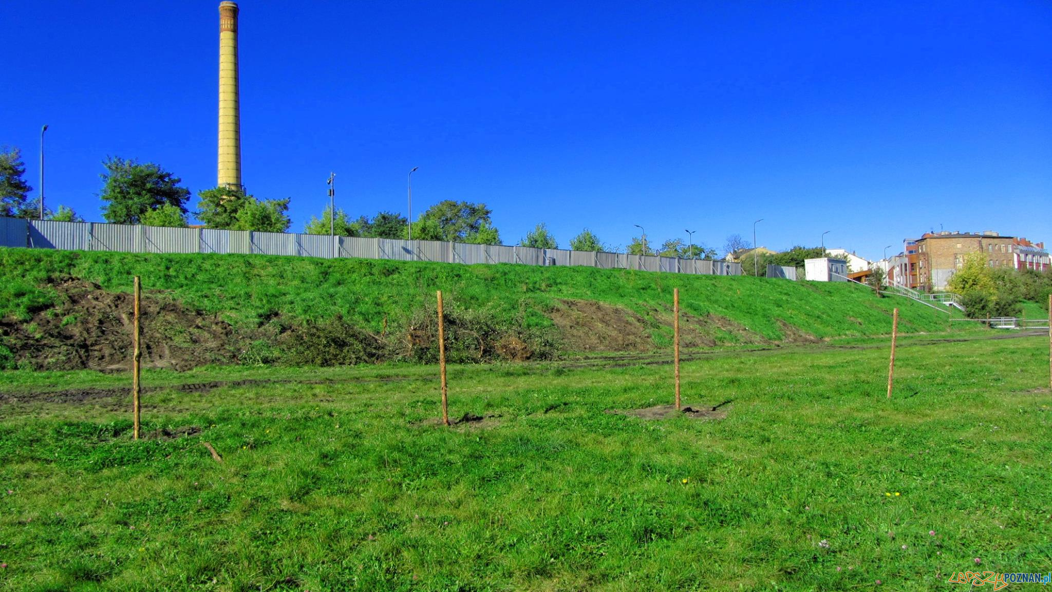 Budowa schodów nad Wartą Foto: UMP Budowa schodów nad Wartą Foto: UMP