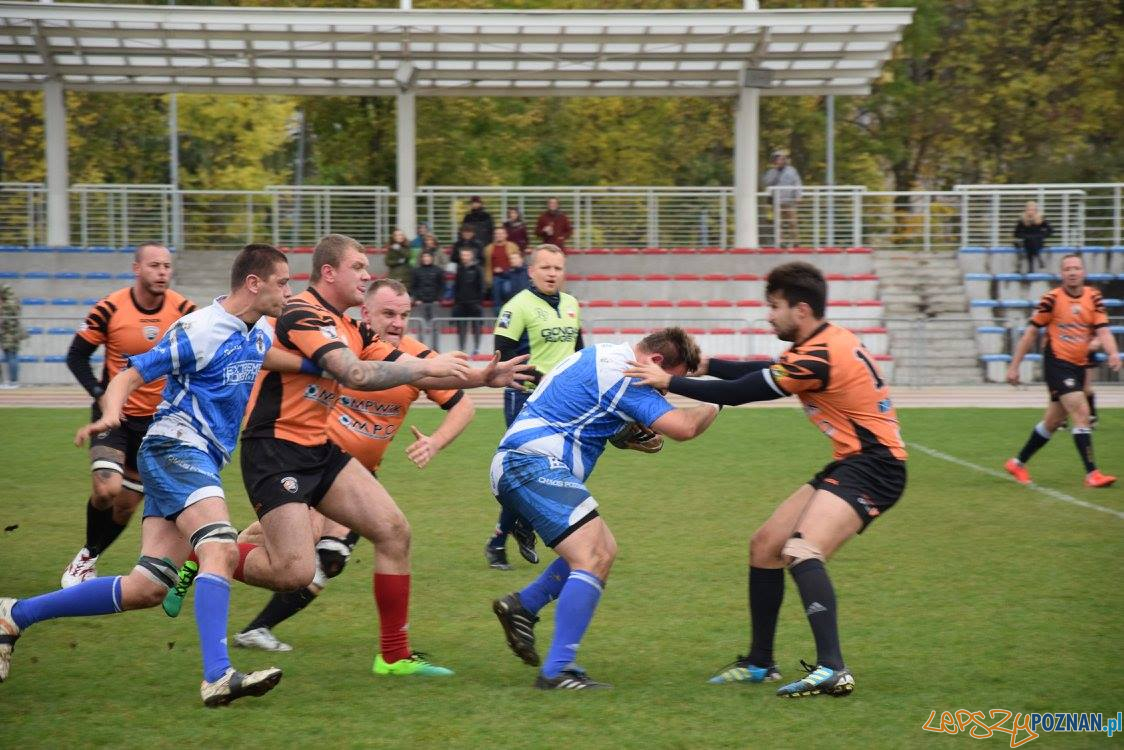 Miedziowi Lubin vs Chaos Poznań Foto: Weronika Biskupska Miedziowi Lubin vs Chaos Poznań Foto: Weronika Biskupska