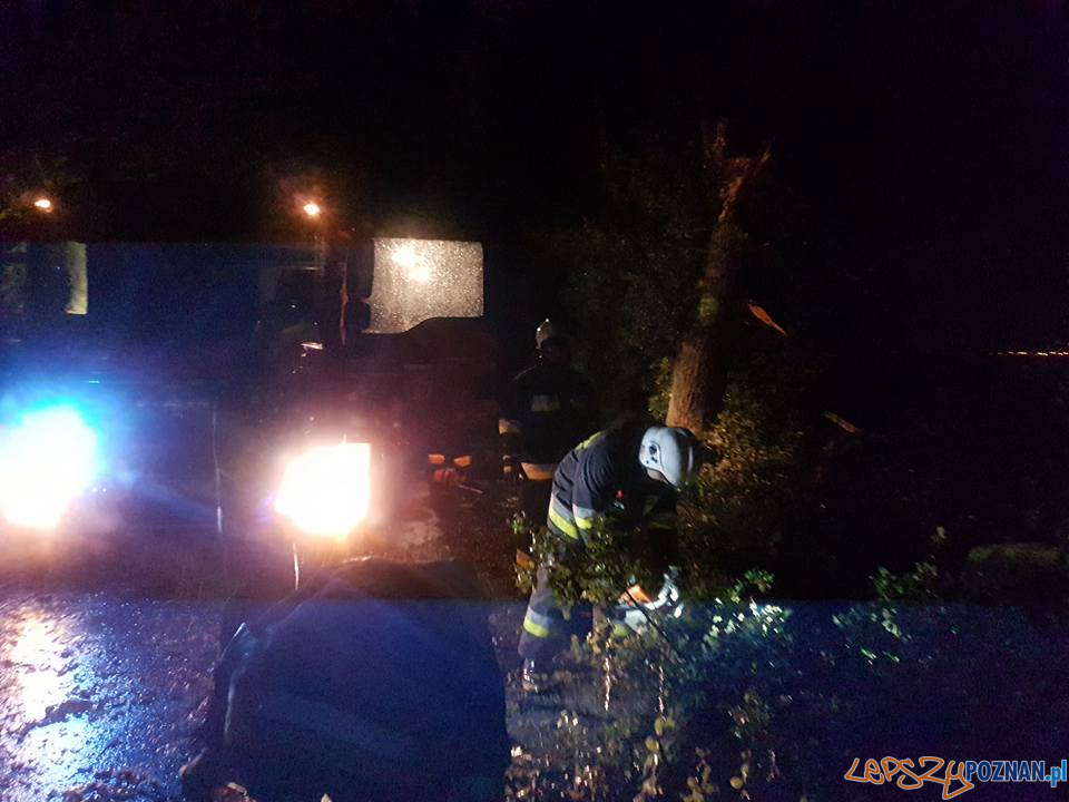 22281575_2031009383804116_4102110117241116023_n Foto: 22281575_2031009383804116_4102110117241116023_n Foto: