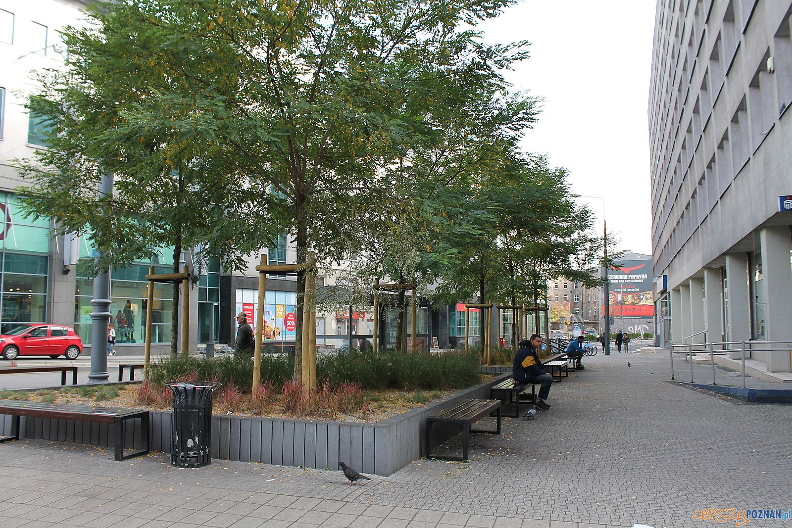 Stary Marych nieporządek wokól pomnika (4) Foto: T. Dworek / ROSM Stary Marych nieporządek wokól pomnika (4) Foto: T. Dworek / ROSM