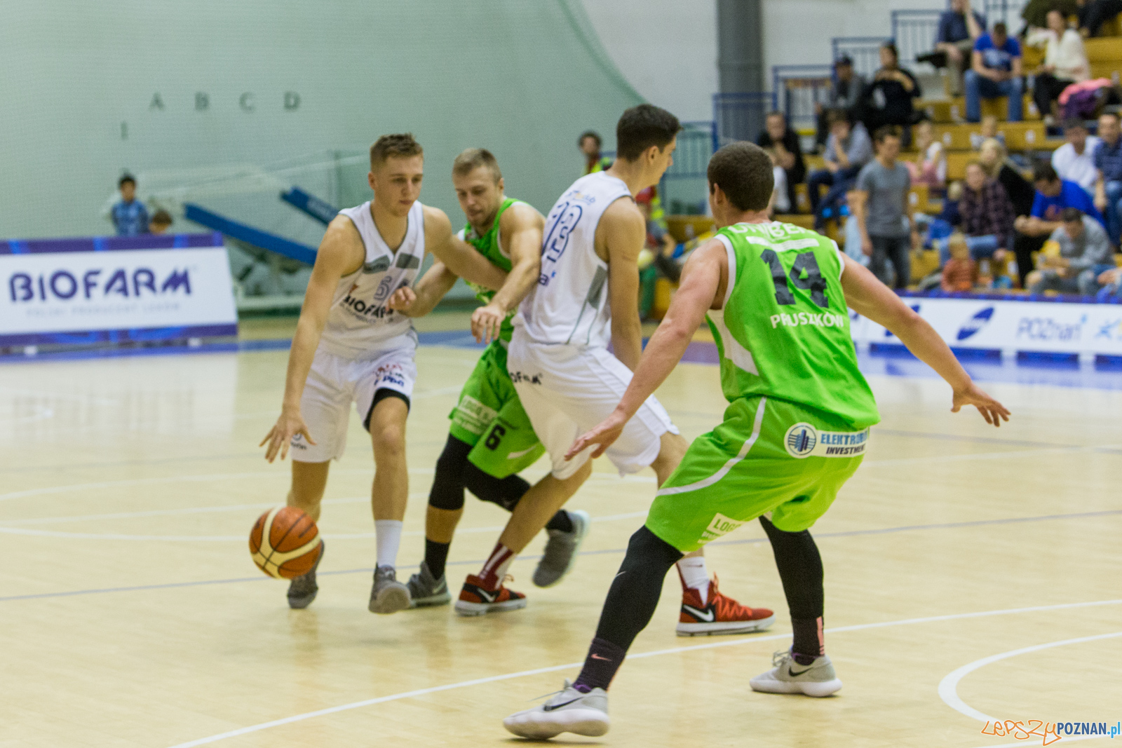 Biofarm basket Poznań - ZB Puszków Foto: lepszyPOZNAN.pl/Piotr Rychter Biofarm basket Poznań - ZB Puszków Foto: lepszyPOZNAN.pl/Piotr Rychter