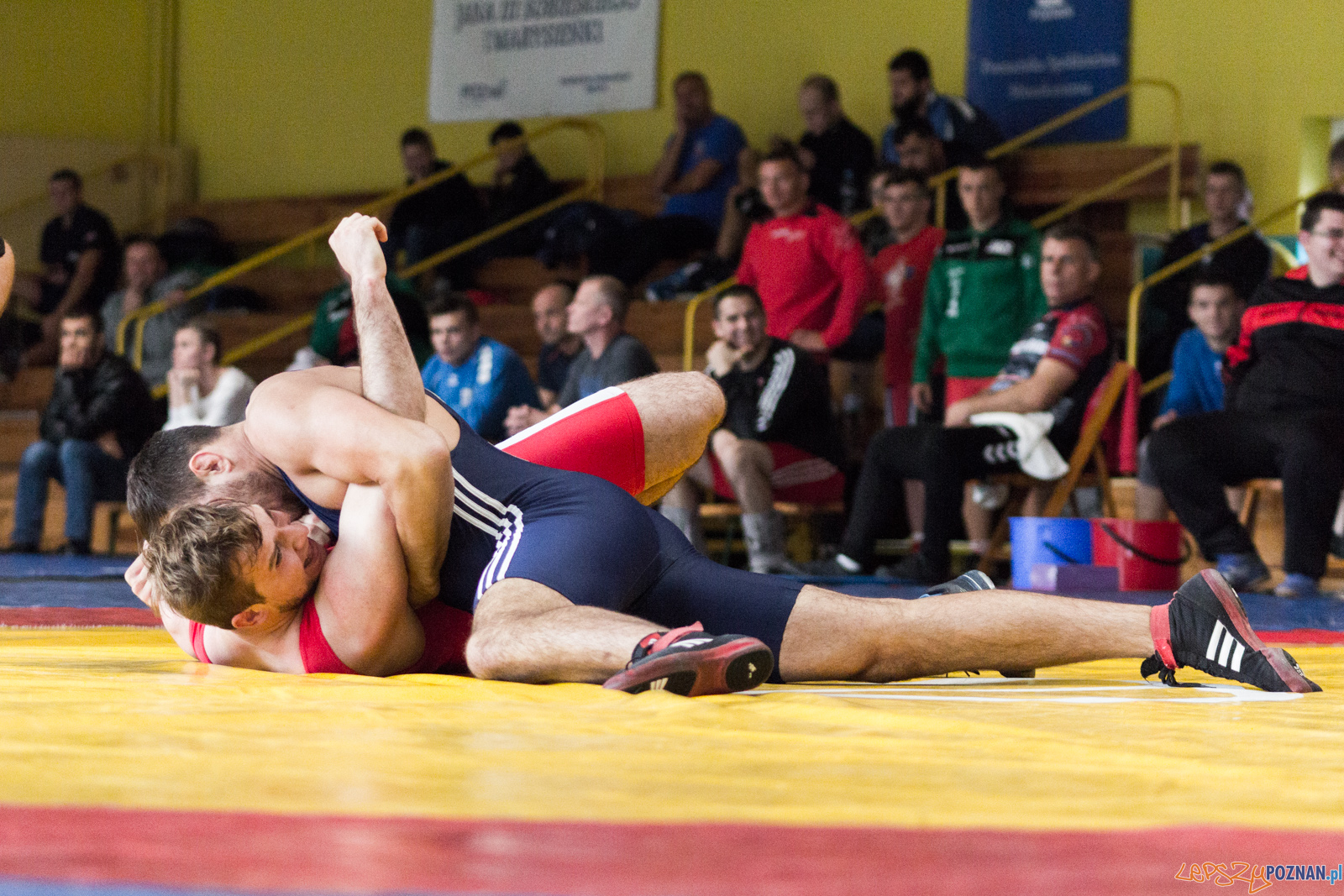 Młodzieżowe Mistrzostwa Polski w Zapasach Foto: lepszyPOZNAN.pl / Ewelina Jaskowiak Młodzieżowe Mistrzostwa Polski w Zapasach Foto: lepszyPOZNAN.pl / Ewelina Jaskowiak