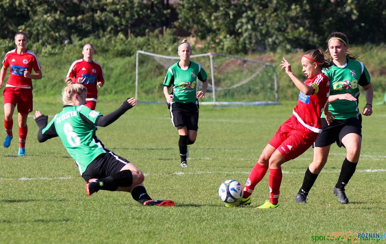 Polonia Poznań - KS Raszyn Foto: sportowy-poznan.pl / Elżbieta Skowron Polonia Poznań - KS Raszyn Foto: sportowy-poznan.pl / Elżbieta Skowron
