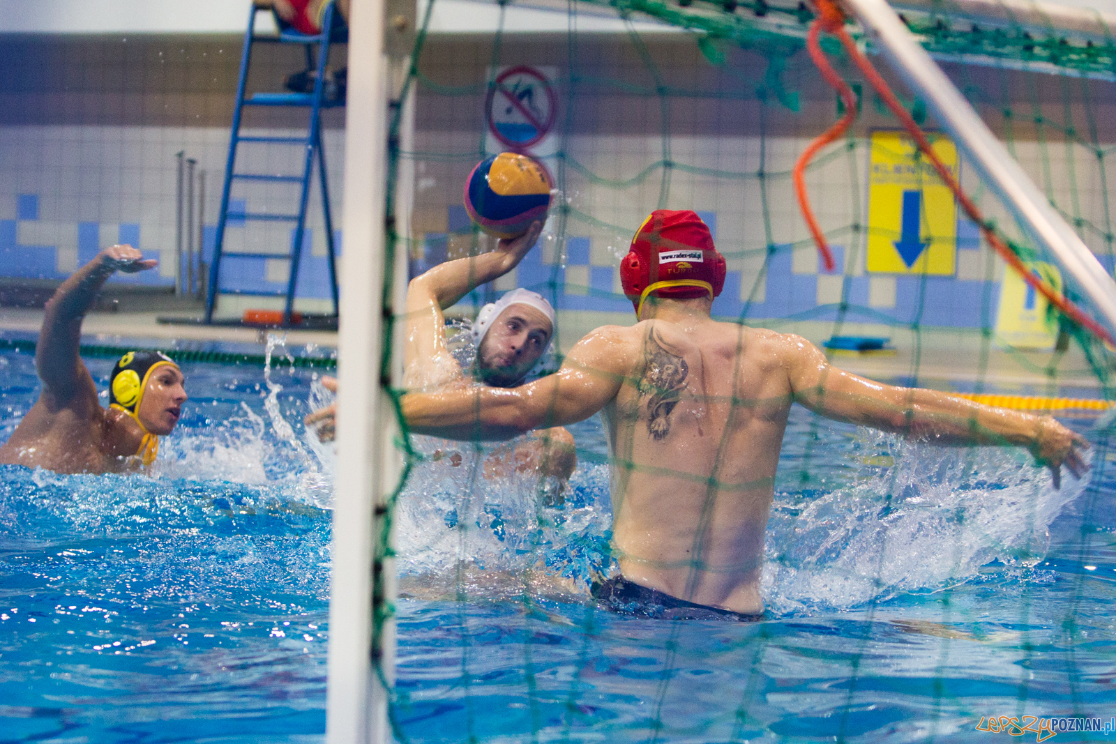 Waterpolo Poznań - Polonia Bytom Foto: lepszyPOZNAN.pl/Piotr Rychter Waterpolo Poznań - Polonia Bytom Foto: lepszyPOZNAN.pl/Piotr Rychter
