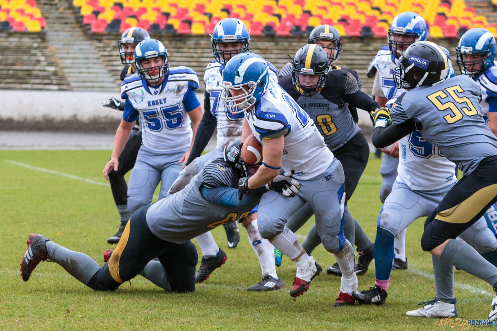 Półfinał MP U19: Kozły Poznań - Lowlanders Bialystok 22:0 - Foto: LepszyPOZNAN.pl / Paweł Rychter Półfinał MP U19: Kozły Poznań - Lowlanders Bialystok 22:0 - Foto: LepszyPOZNAN.pl / Paweł Rychter