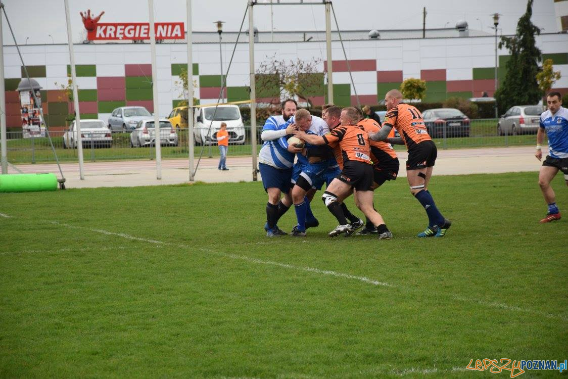 Miedziowi Lubin vs Chaos Poznań Foto: Weronika Biskupska Miedziowi Lubin vs Chaos Poznań Foto: Weronika Biskupska