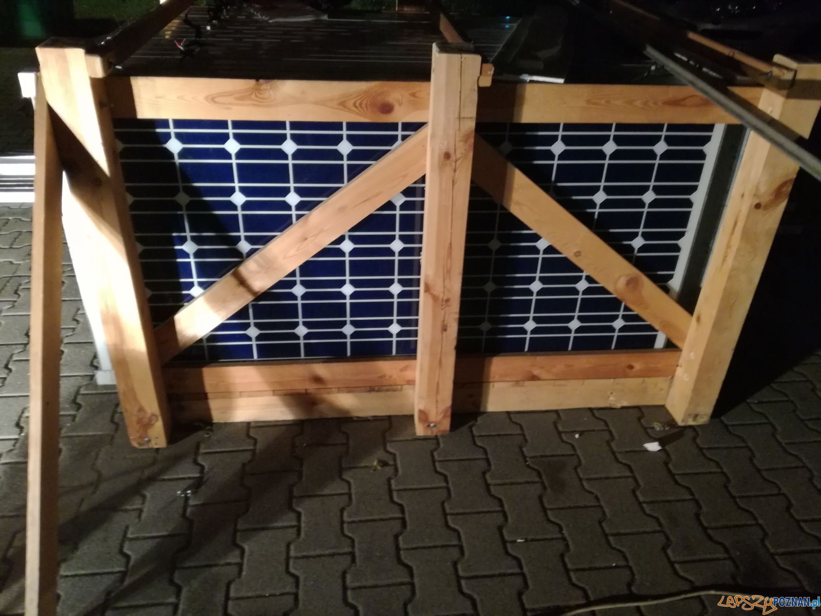 To był rekordowy przemyt ćmików Foto: KWP To był rekordowy przemyt ćmików Foto: KWP