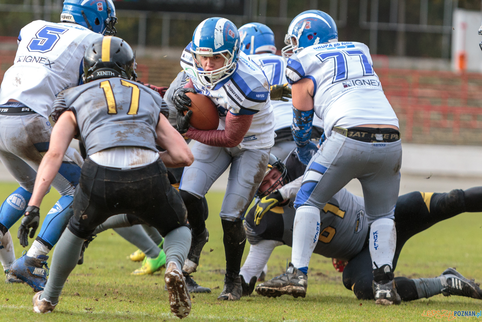 Półfinał MP U19: Kozły Poznań - Lowlanders Bialystok 22:0 - Foto: LepszyPOZNAN.pl / Paweł Rychter Półfinał MP U19: Kozły Poznań - Lowlanders Bialystok 22:0 - Foto: LepszyPOZNAN.pl / Paweł Rychter