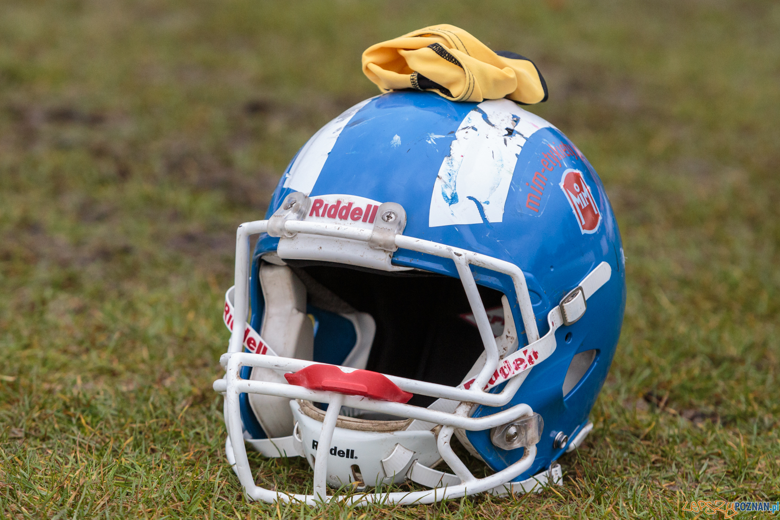 Półfinał MP U19: Kozły Poznań - Lowlanders Bialystok 22:0 - Foto: LepszyPOZNAN.pl / Paweł Rychter Półfinał MP U19: Kozły Poznań - Lowlanders Bialystok 22:0 - Foto: LepszyPOZNAN.pl / Paweł Rychter