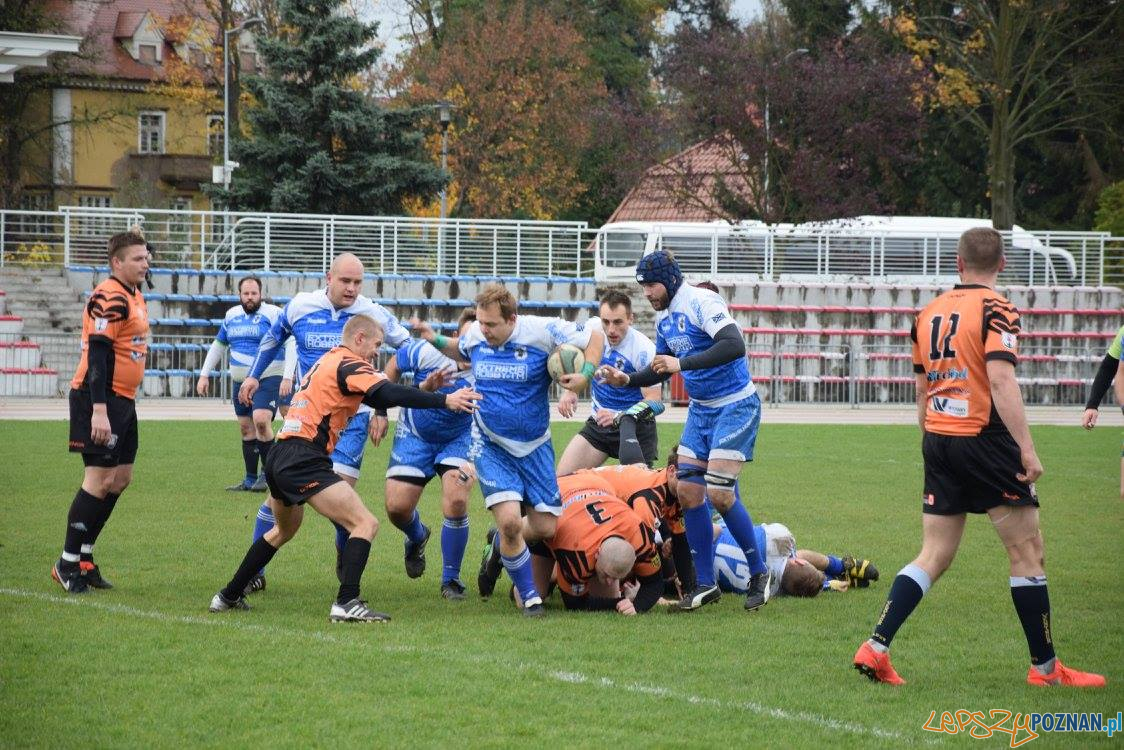 Miedziowi Lubin vs Chaos Poznań Foto: Weronika Biskupska Miedziowi Lubin vs Chaos Poznań Foto: Weronika Biskupska