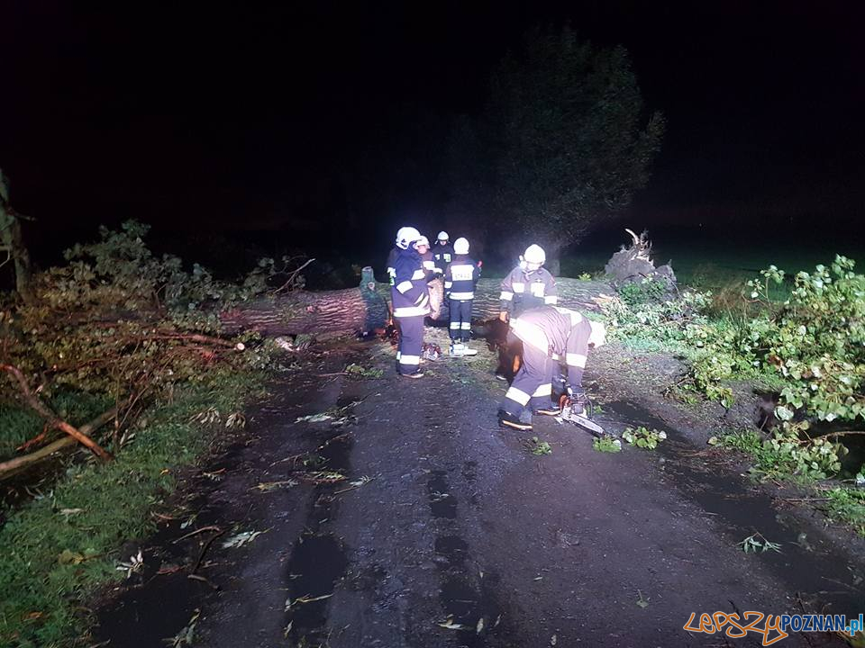 22221560_2031009493804105_6961582299723329694_n Foto: 22221560_2031009493804105_6961582299723329694_n Foto: