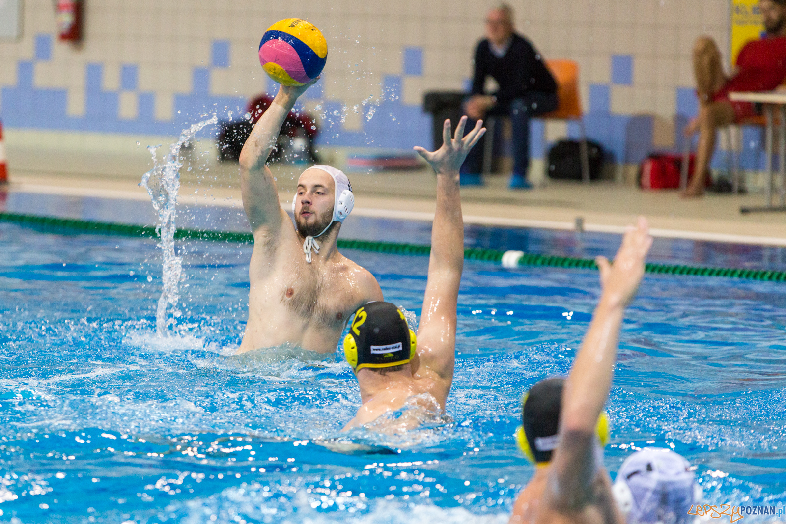 Waterpolo Poznań - Polonia Bytom Foto: lepszyPOZNAN.pl/Piotr Rychter Waterpolo Poznań - Polonia Bytom Foto: lepszyPOZNAN.pl/Piotr Rychter
