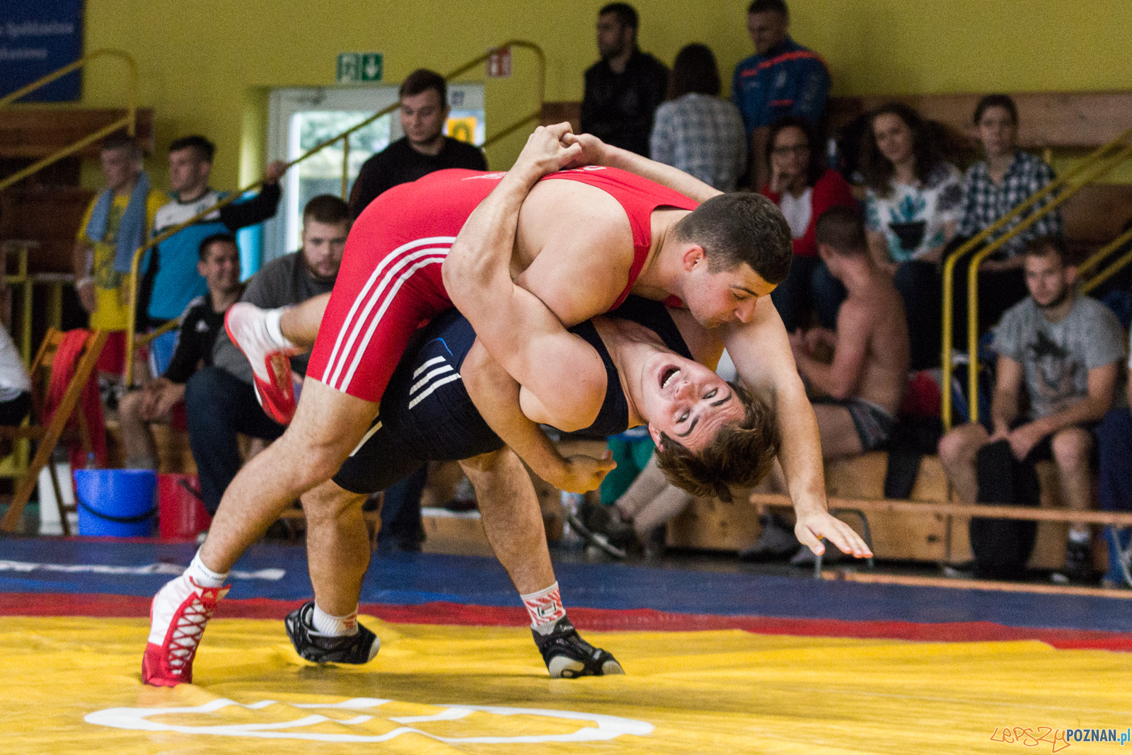 Młodzieżowe Mistrzostwa Polski w Zapasach Foto: lepszyPOZNAN.pl / Ewelina Jaskowiak Młodzieżowe Mistrzostwa Polski w Zapasach Foto: lepszyPOZNAN.pl / Ewelina Jaskowiak