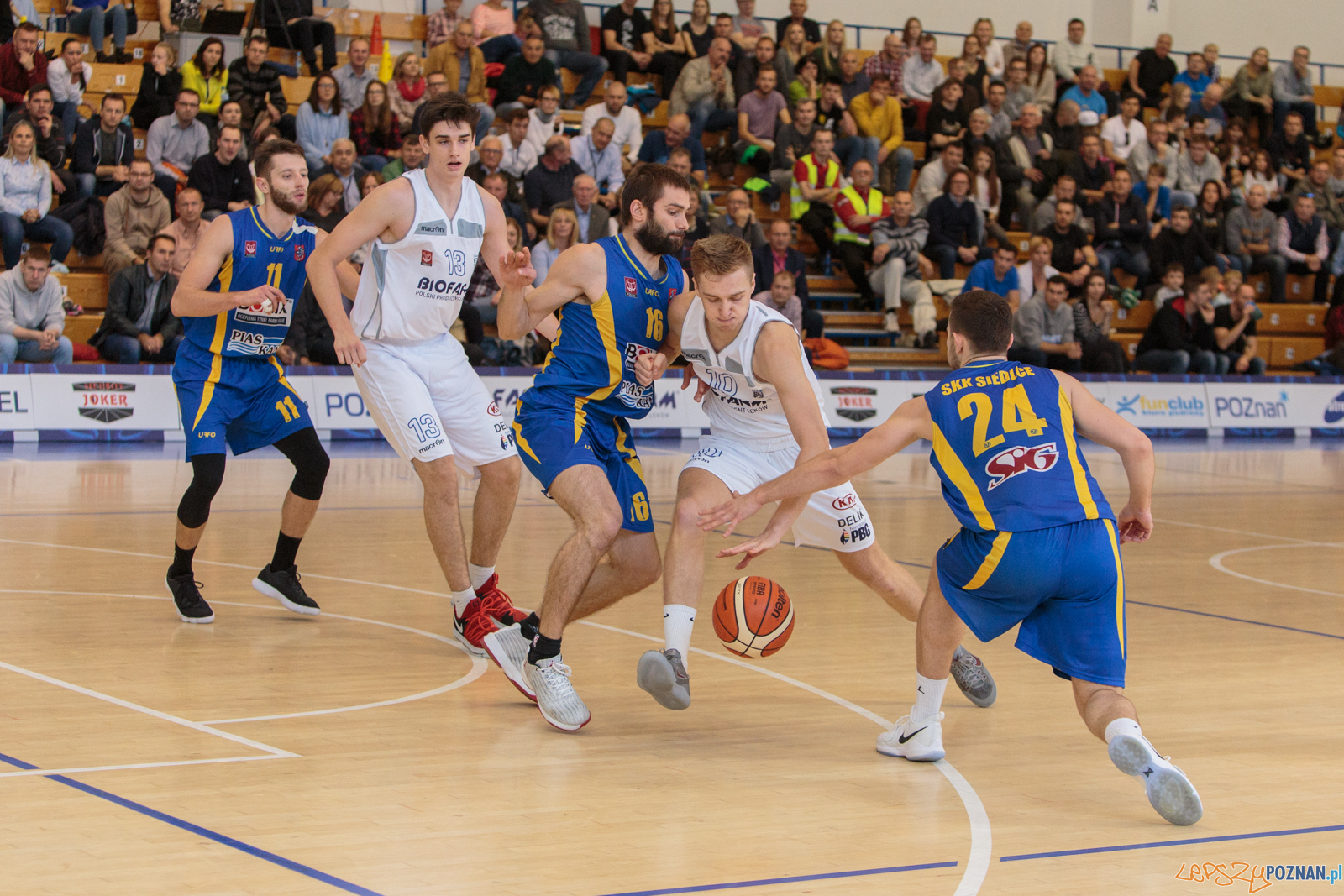 Biofarm Basket Poznań vs SKK Siedlce 86:72 - Poznań 08.10.2017  Foto: LepszyPOZNAN.pl / Paweł Rychter