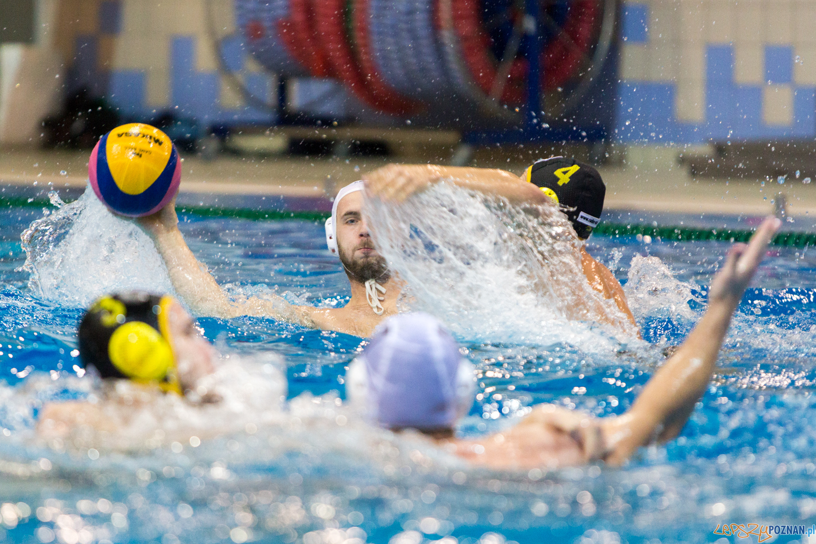 Waterpolo Poznań - Polonia Bytom Foto: lepszyPOZNAN.pl/Piotr Rychter Waterpolo Poznań - Polonia Bytom Foto: lepszyPOZNAN.pl/Piotr Rychter