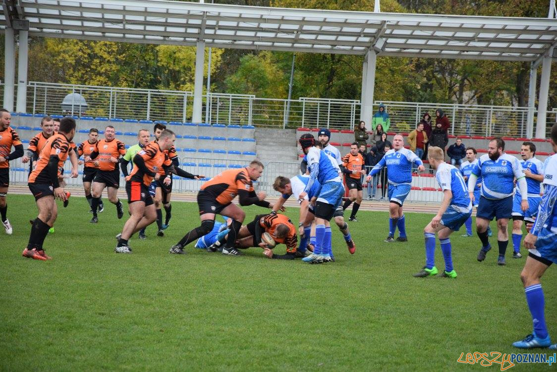 Miedziowi Lubin vs Chaos Poznań Foto: Weronika Biskupska Miedziowi Lubin vs Chaos Poznań Foto: Weronika Biskupska