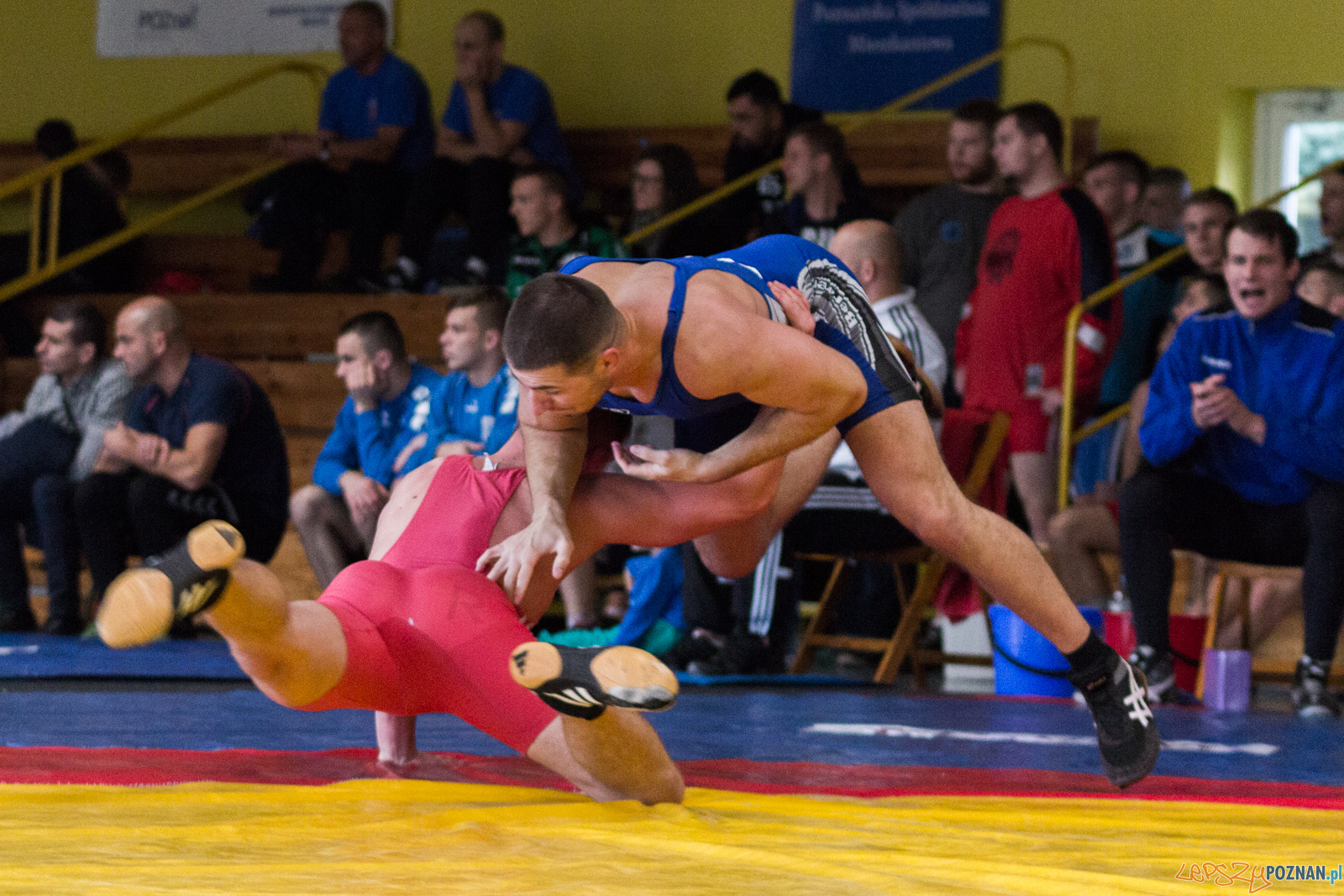 Młodzieżowe Mistrzostwa Polski w Zapasach Foto: lepszyPOZNAN.pl / Ewelina Jaskowiak Młodzieżowe Mistrzostwa Polski w Zapasach Foto: lepszyPOZNAN.pl / Ewelina Jaskowiak