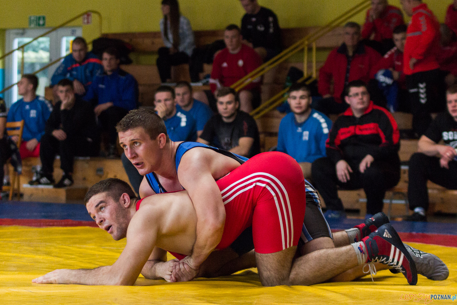 Młodzieżowe Mistrzostwa Polski w Zapasach Foto: lepszyPOZNAN.pl / Ewelina Jaskowiak Młodzieżowe Mistrzostwa Polski w Zapasach Foto: lepszyPOZNAN.pl / Ewelina Jaskowiak