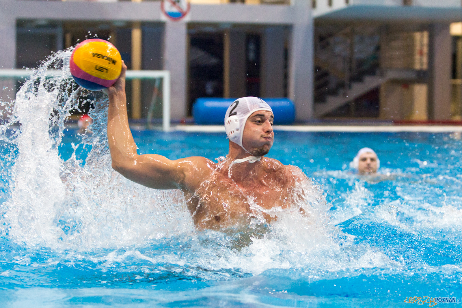 Waterpolo Poznań - Polonia Bytom Foto: lepszyPOZNAN.pl/Piotr Rychter Waterpolo Poznań - Polonia Bytom Foto: lepszyPOZNAN.pl/Piotr Rychter