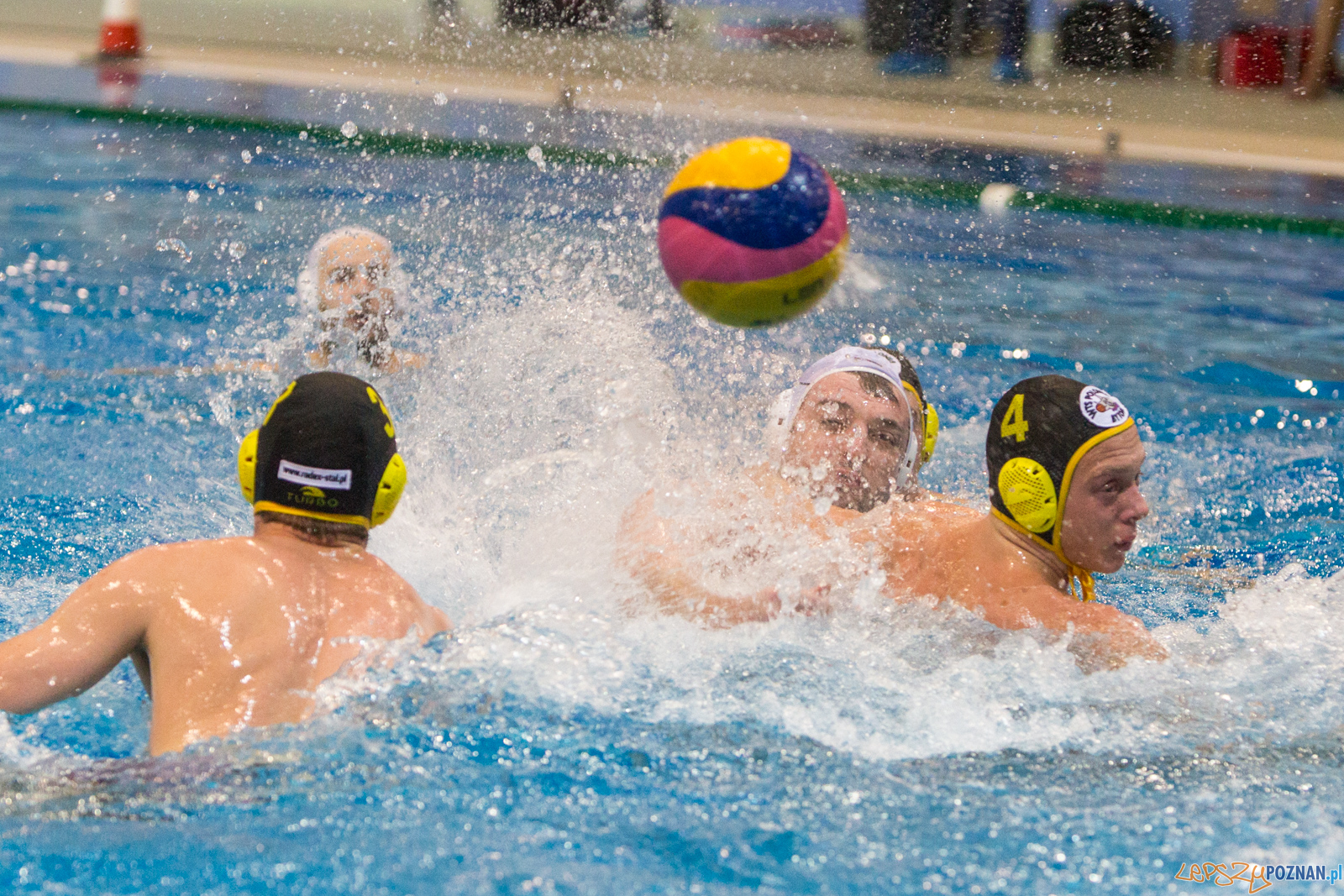 Waterpolo Poznań - Polonia Bytom Foto: lepszyPOZNAN.pl/Piotr Rychter Waterpolo Poznań - Polonia Bytom Foto: lepszyPOZNAN.pl/Piotr Rychter