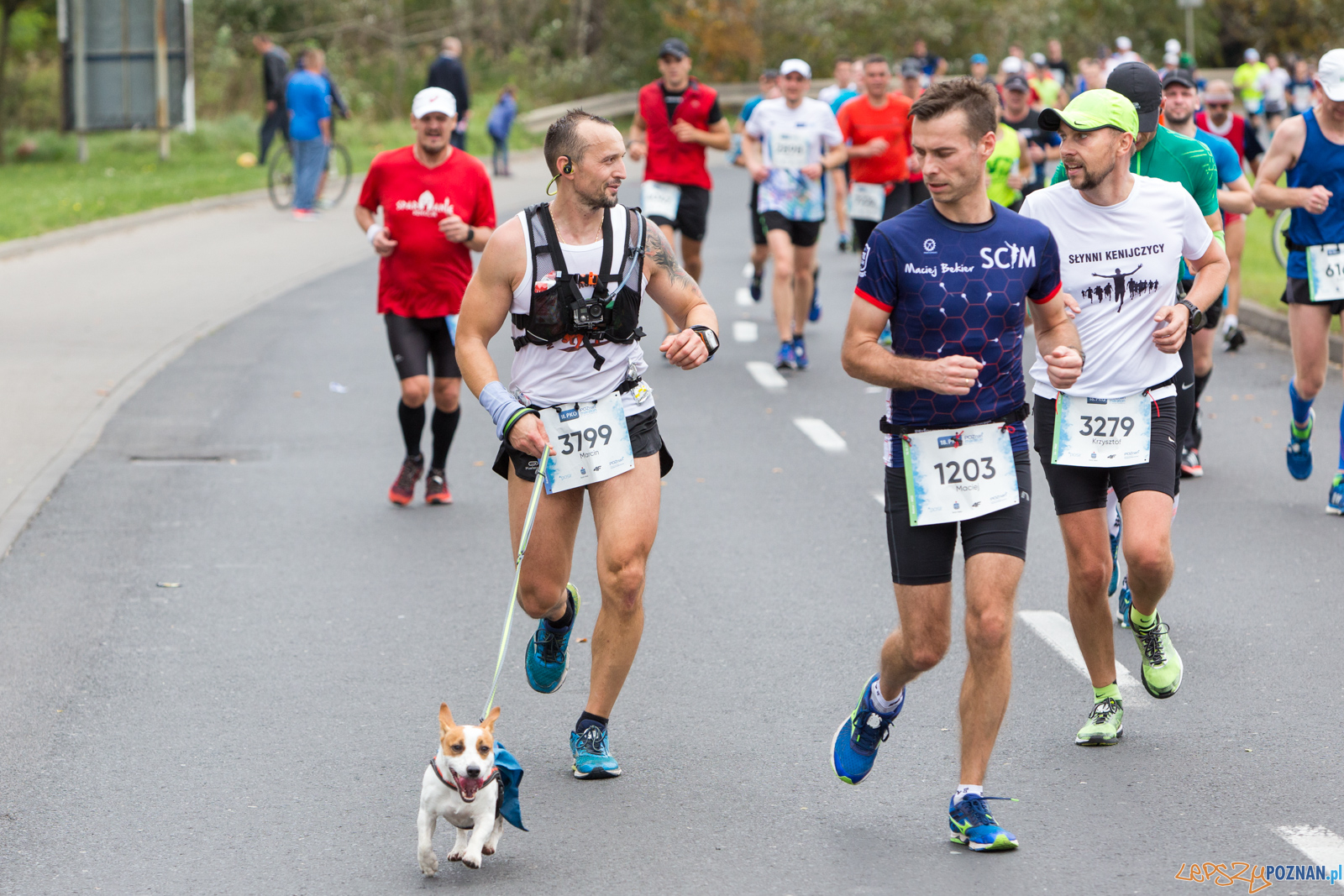 18.PKO Poznań Maraton Foto: lepszyPOZNAN.pl/Piotr Rychter 18.PKO Poznań Maraton Foto: lepszyPOZNAN.pl/Piotr Rychter