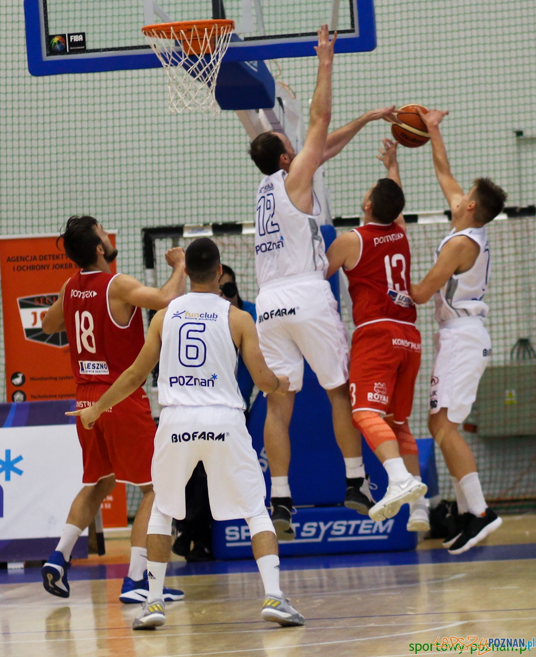 Biofarm Basket Poznań - Jamalex Polonia 1912 Leszno Foto: sportowy-poznan.pl / Elżbieta Skowron Biofarm Basket Poznań - Jamalex Polonia 1912 Leszno Foto: sportowy-poznan.pl / Elżbieta Skowron