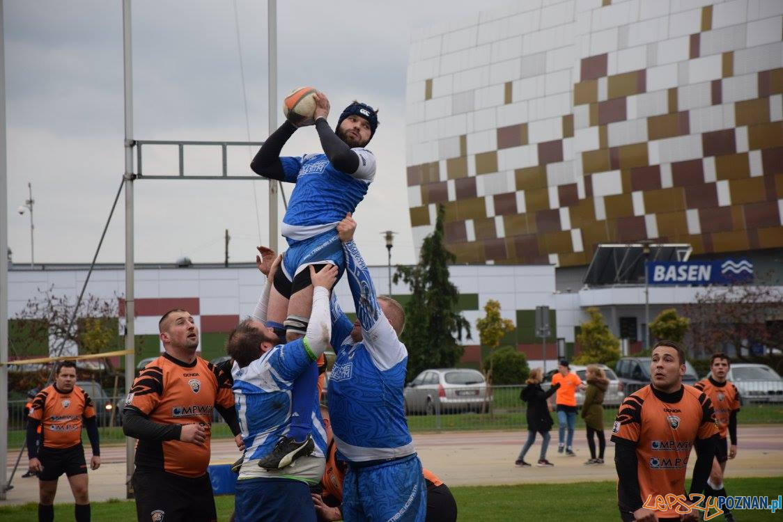 Miedziowi Lubin vs Chaos Poznań Foto: Weronika Biskupska Miedziowi Lubin vs Chaos Poznań Foto: Weronika Biskupska