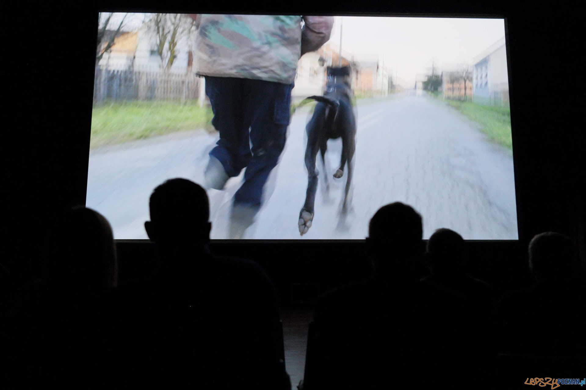 Off Cinema - Międzynarodowy Festiwal Filmów Dokumentalnych 2017 Foto: Maciej Kaczyński / CK Zamek Off Cinema - Międzynarodowy Festiwal Filmów Dokumentalnych 2017 Foto: Maciej Kaczyński / CK Zamek