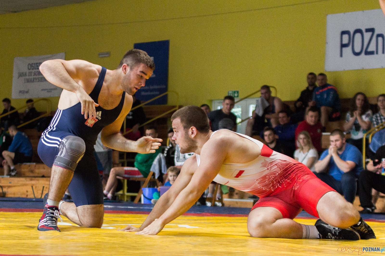 Młodzieżowe Mistrzostwa Polski w Zapasach Foto: lepszyPOZNAN.pl / Ewelina Jaskowiak Młodzieżowe Mistrzostwa Polski w Zapasach Foto: lepszyPOZNAN.pl / Ewelina Jaskowiak