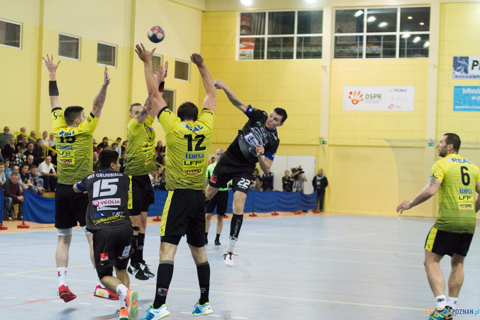 LP-2932 Foto: LepszyPOZNAN.pl / Ewelina Jaskowiak LP-2932 Foto: LepszyPOZNAN.pl / Ewelina Jaskowiak