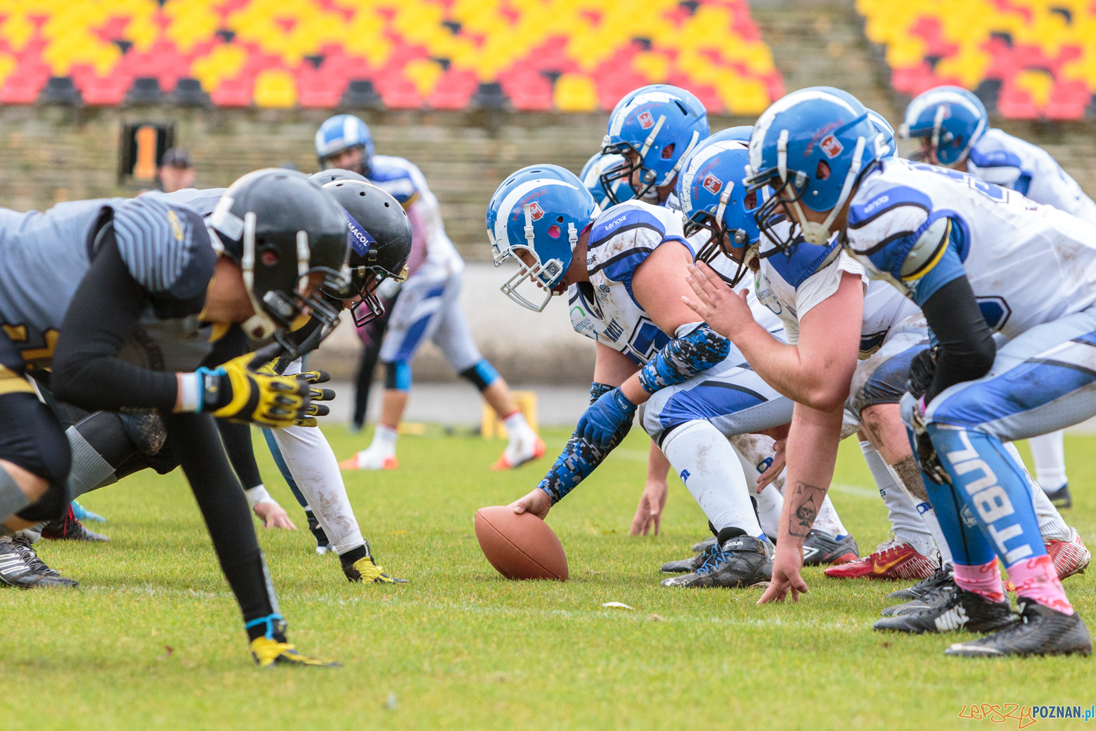 Półfinał MP U19: Kozły Poznań - Lowlanders Bialystok 22:0 - Foto: LepszyPOZNAN.pl / Paweł Rychter Półfinał MP U19: Kozły Poznań - Lowlanders Bialystok 22:0 - Foto: LepszyPOZNAN.pl / Paweł Rychter