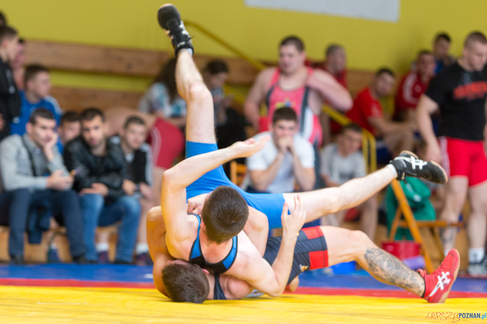Młodzieżowe Mistrzostwa Polski - Zapasy Styl Klasyczny Foto: lepszyPOZNAN.pl/Piotr Rychter Młodzieżowe Mistrzostwa Polski - Zapasy Styl Klasyczny Foto: lepszyPOZNAN.pl/Piotr Rychter