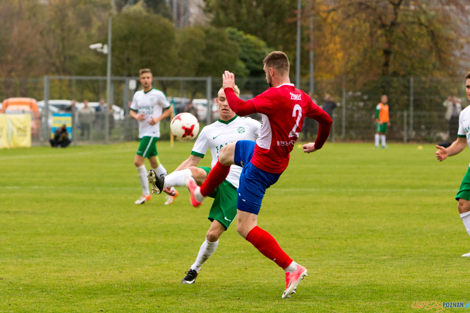 Warta Poznań - Wisła Puławy Foto: lepszyPOZNAN.pl/Piotr Rychter Warta Poznań - Wisła Puławy Foto: lepszyPOZNAN.pl/Piotr Rychter