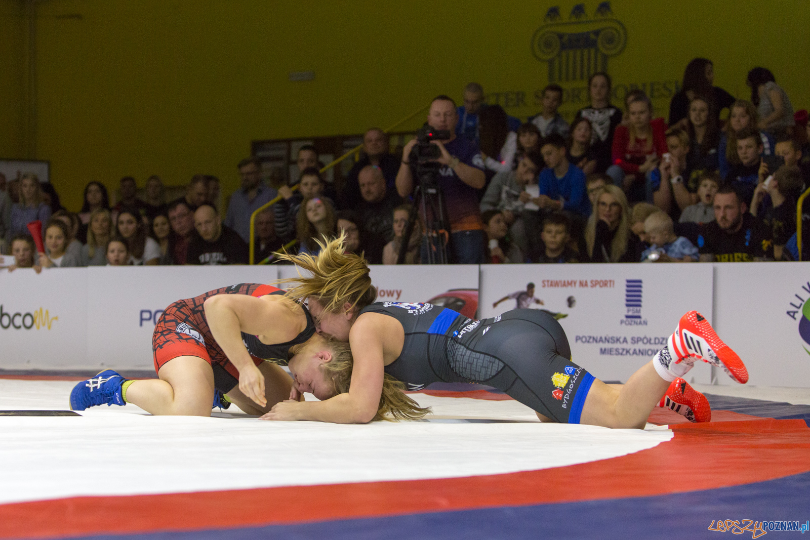 WZS WKS Grunwald -KS Sobieski Poznań - LOTTO Zapasy Bydgoszcz Foto: lepszyPOZNAN.pl/Piotr Rychter WZS WKS Grunwald -KS Sobieski Poznań - LOTTO Zapasy Bydgoszcz Foto: lepszyPOZNAN.pl/Piotr Rychter