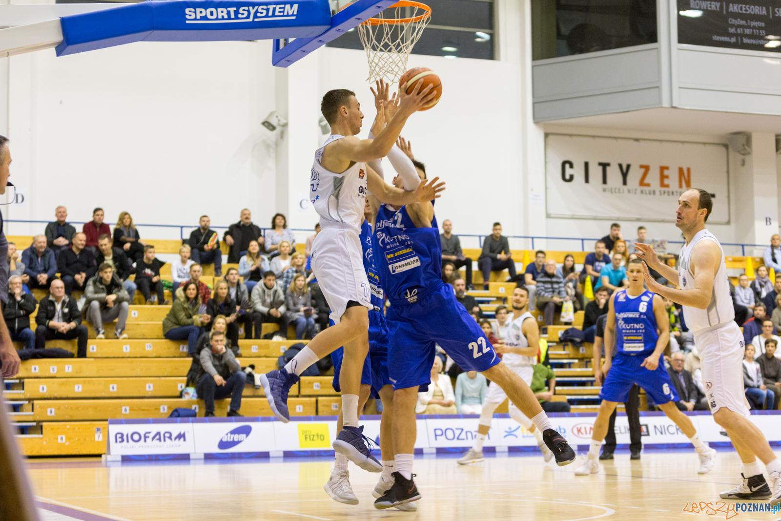 Biofarm Basket - Polfarmex Kutno Foto: lepszyPOZNAN.pl/Piotr Rychter Biofarm Basket - Polfarmex Kutno Foto: lepszyPOZNAN.pl/Piotr Rychter