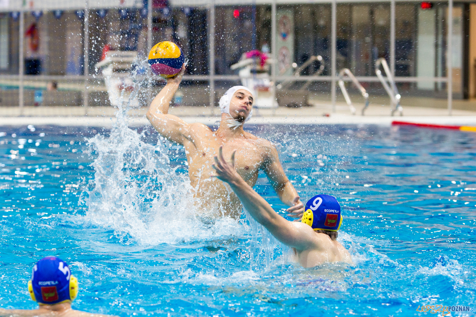 Waterpolo Poznań vs UKS Neptun Łódź Foto: lepszyPOZNAN.pl/Piotr Rychter Waterpolo Poznań vs UKS Neptun Łódź Foto: lepszyPOZNAN.pl/Piotr Rychter