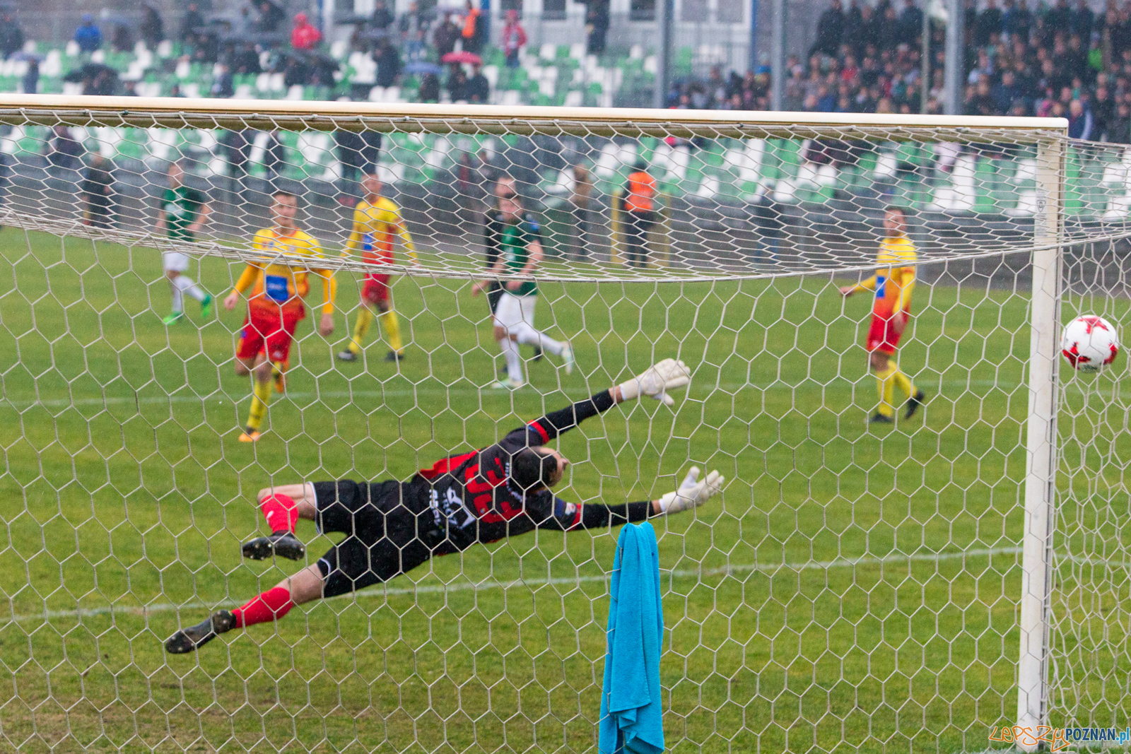 Warta Poznań - Legionovia Legionowo Foto: lepszyPOZNAN.pl/Piotr Rychter Warta Poznań - Legionovia Legionowo Foto: lepszyPOZNAN.pl/Piotr Rychter