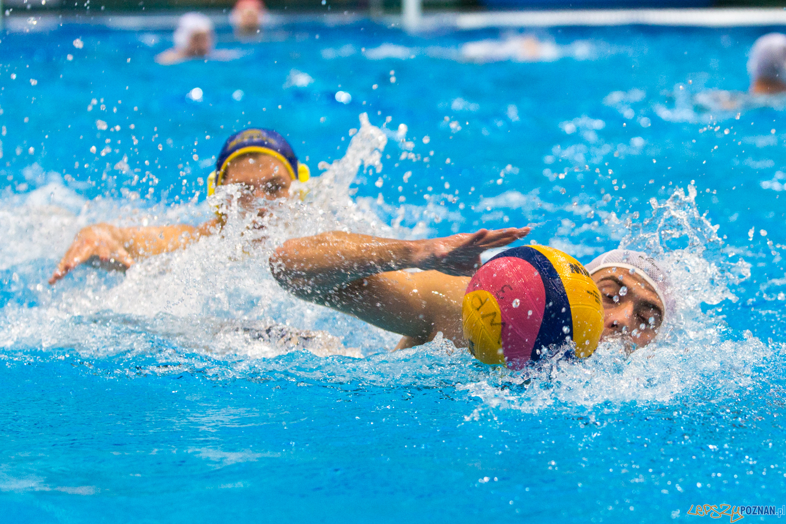 Waterpolo Poznań vs UKS Neptun Łódź Foto: lepszyPOZNAN.pl/Piotr Rychter Waterpolo Poznań vs UKS Neptun Łódź Foto: lepszyPOZNAN.pl/Piotr Rychter