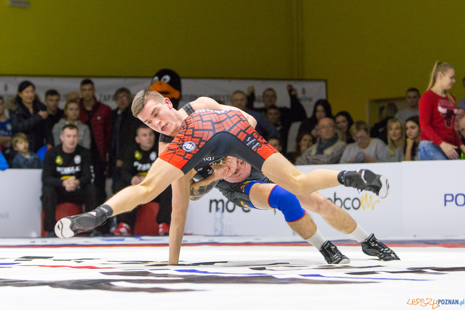 WZS WKS Grunwald -KS Sobieski Poznań - LOTTO Zapasy Bydgoszcz Foto: lepszyPOZNAN.pl/Piotr Rychter WZS WKS Grunwald -KS Sobieski Poznań - LOTTO Zapasy Bydgoszcz Foto: lepszyPOZNAN.pl/Piotr Rychter