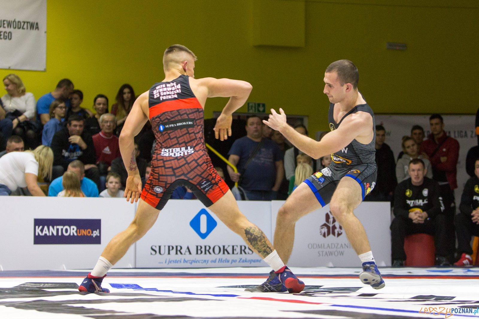 WZS WKS Grunwald -KS Sobieski Poznań - LOTTO Zapasy Bydgoszcz Foto: lepszyPOZNAN.pl/Piotr Rychter WZS WKS Grunwald -KS Sobieski Poznań - LOTTO Zapasy Bydgoszcz Foto: lepszyPOZNAN.pl/Piotr Rychter